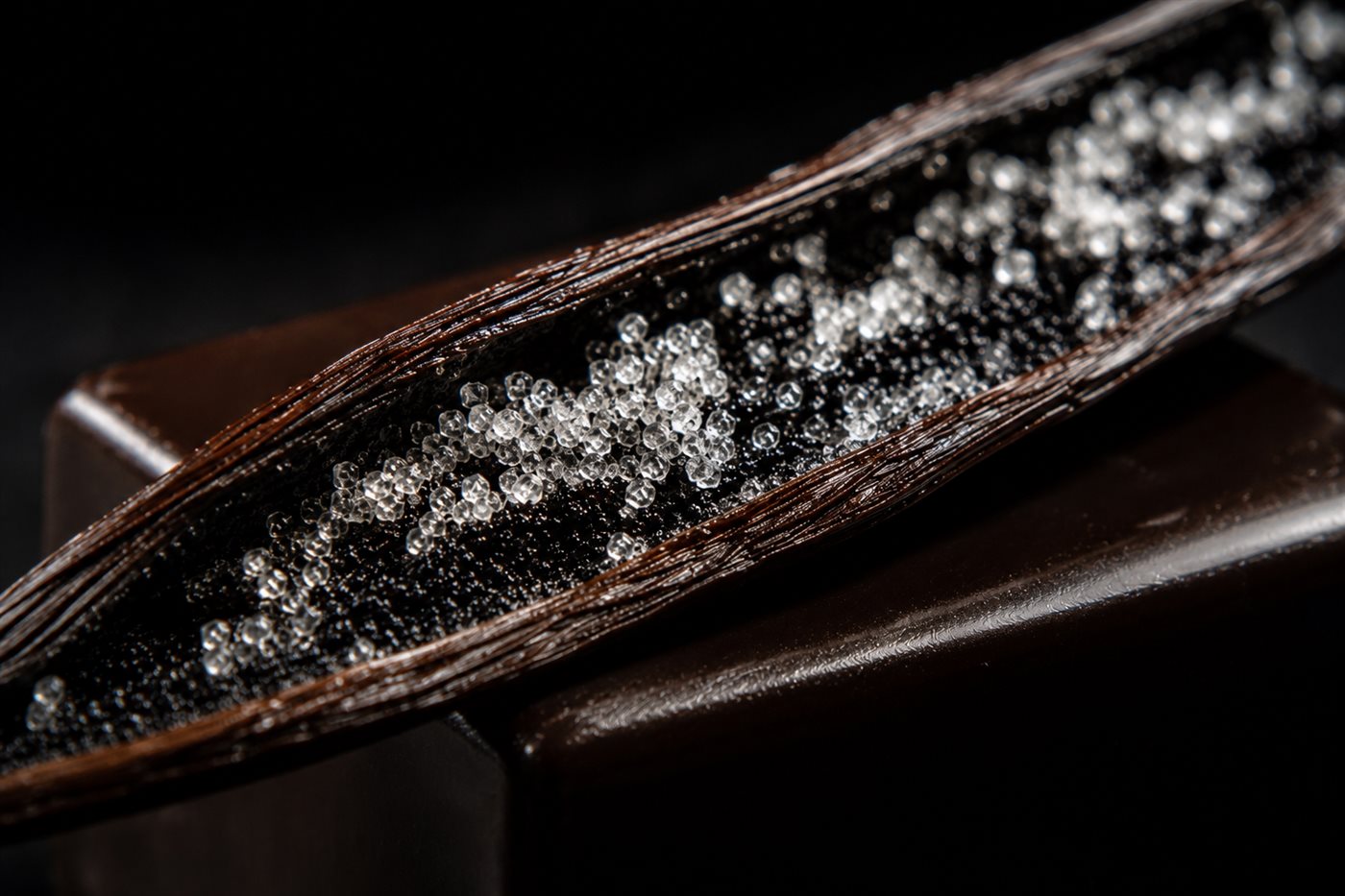 Macro des cristaux de givre de vanilline sur une gousse Givrée fendue, posée sur des blocs de chocolat noir