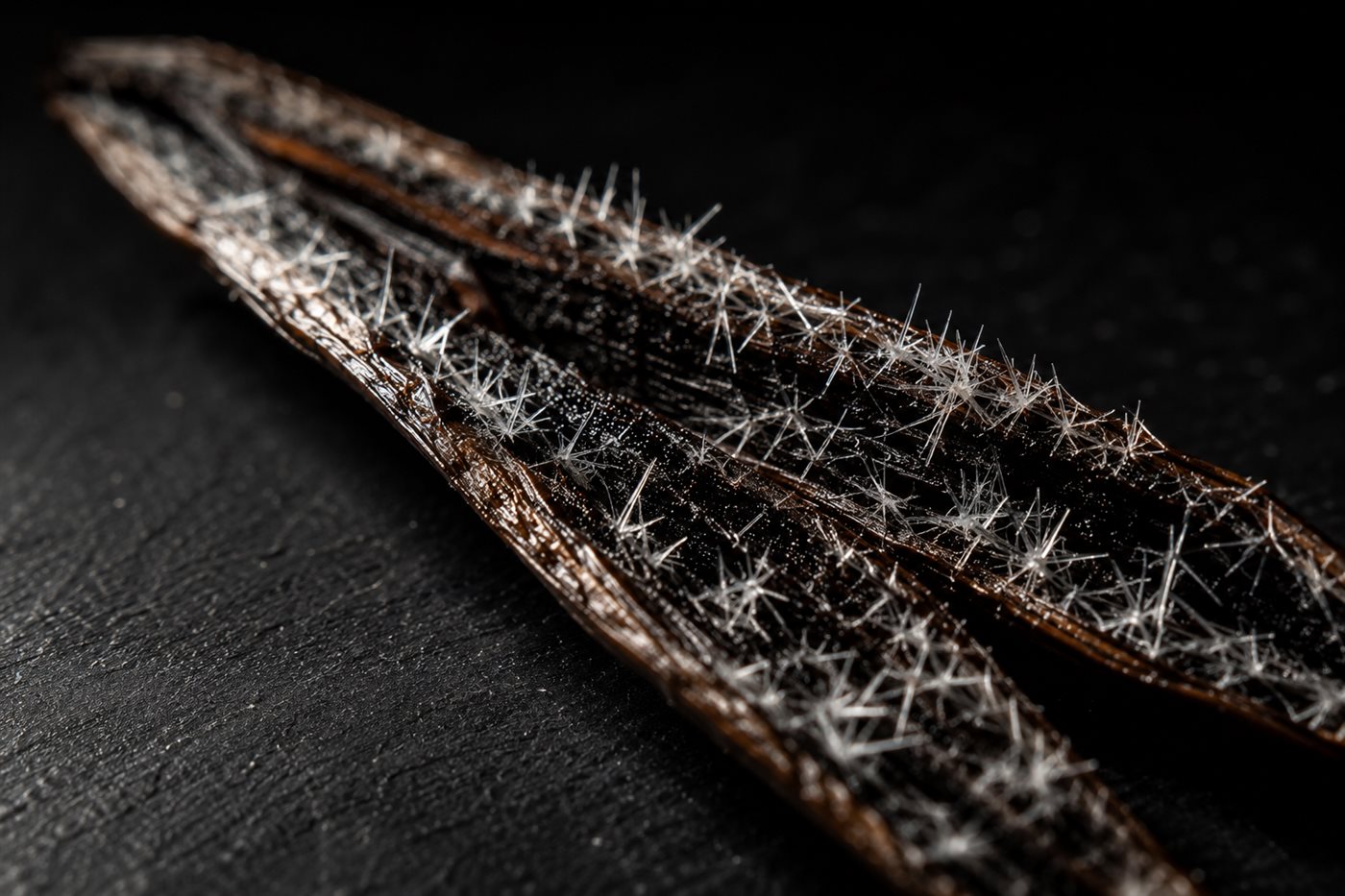 Macro d'une gousse de vanille givrée fendue : cristaux de vanilline scintillants sur les grains noirs