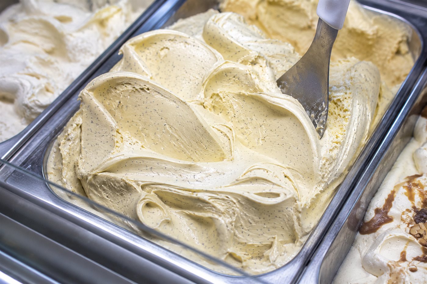 Bac de crème glacée vanille en vitrine de glacier, grain de vanille visible dans la masse, spatule plantée